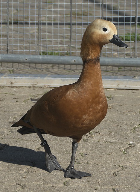 是终点