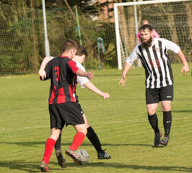 其背后的精 其背后的精