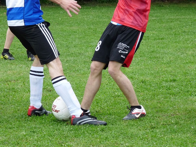 伊藤美诚为 伊藤美诚为