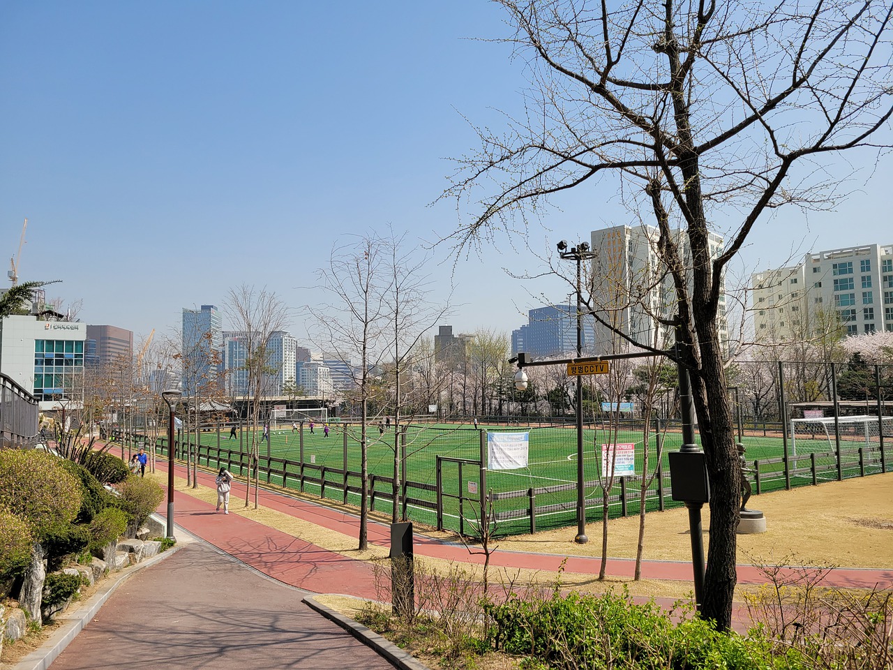 中国职业篮 中国职业篮