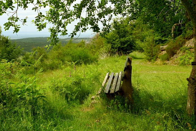 了全球关注 了全球关注