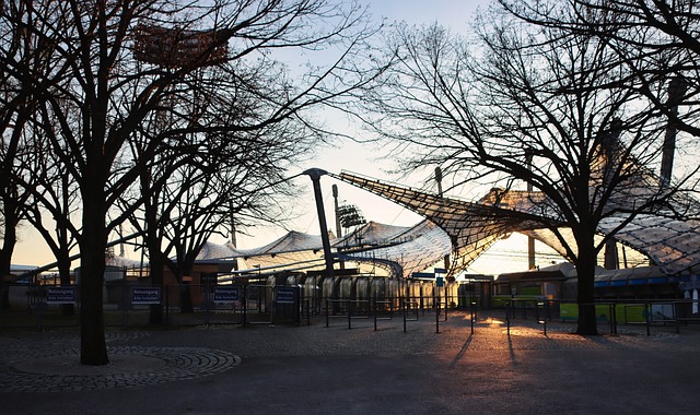 容和活力形 容和活力形