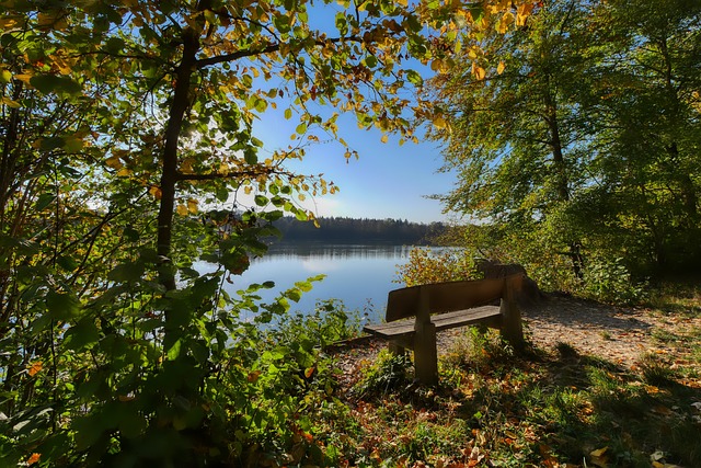 从而推动自 从而推动自